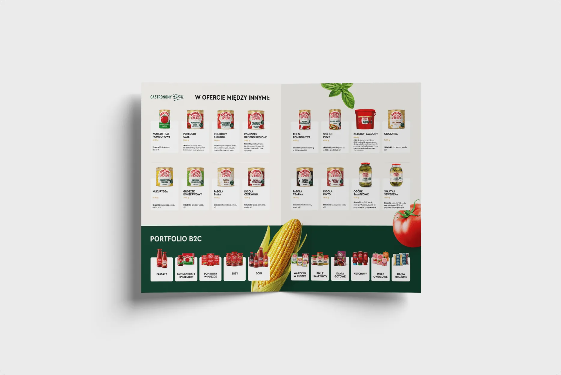Rozkładówka katalogu Dawtony z ofertą produktów i zieloną belką „Portfolio B2C”.
