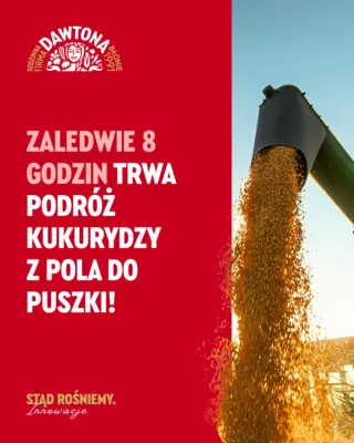 Szablon postu „Stąd rośniemy. Innowacje.” z kukurydzą.