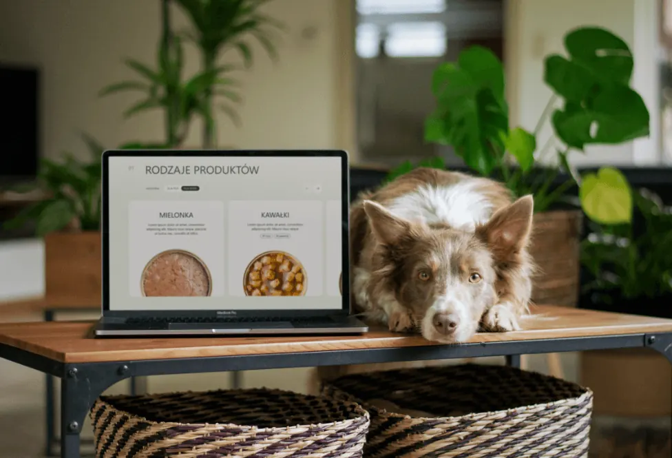 Laptop z podstroną rodzajów produktów, obok leży pies