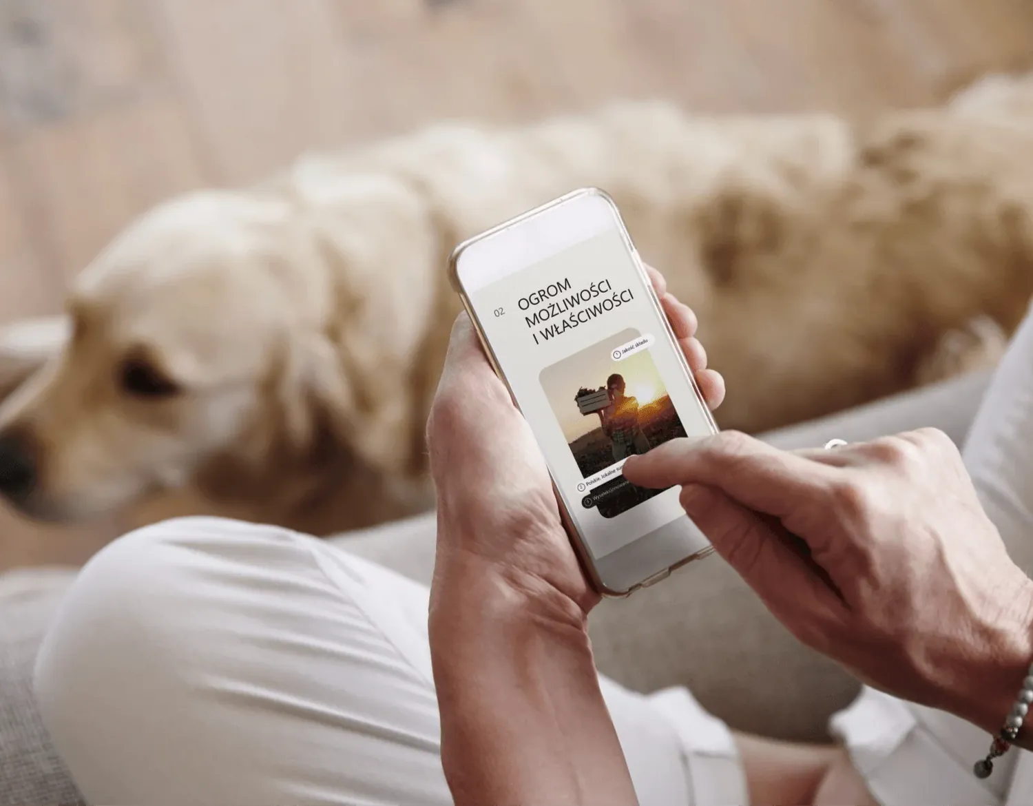 Telefon ze stroną PetCuisine na tle psa śpiącego na kocu
