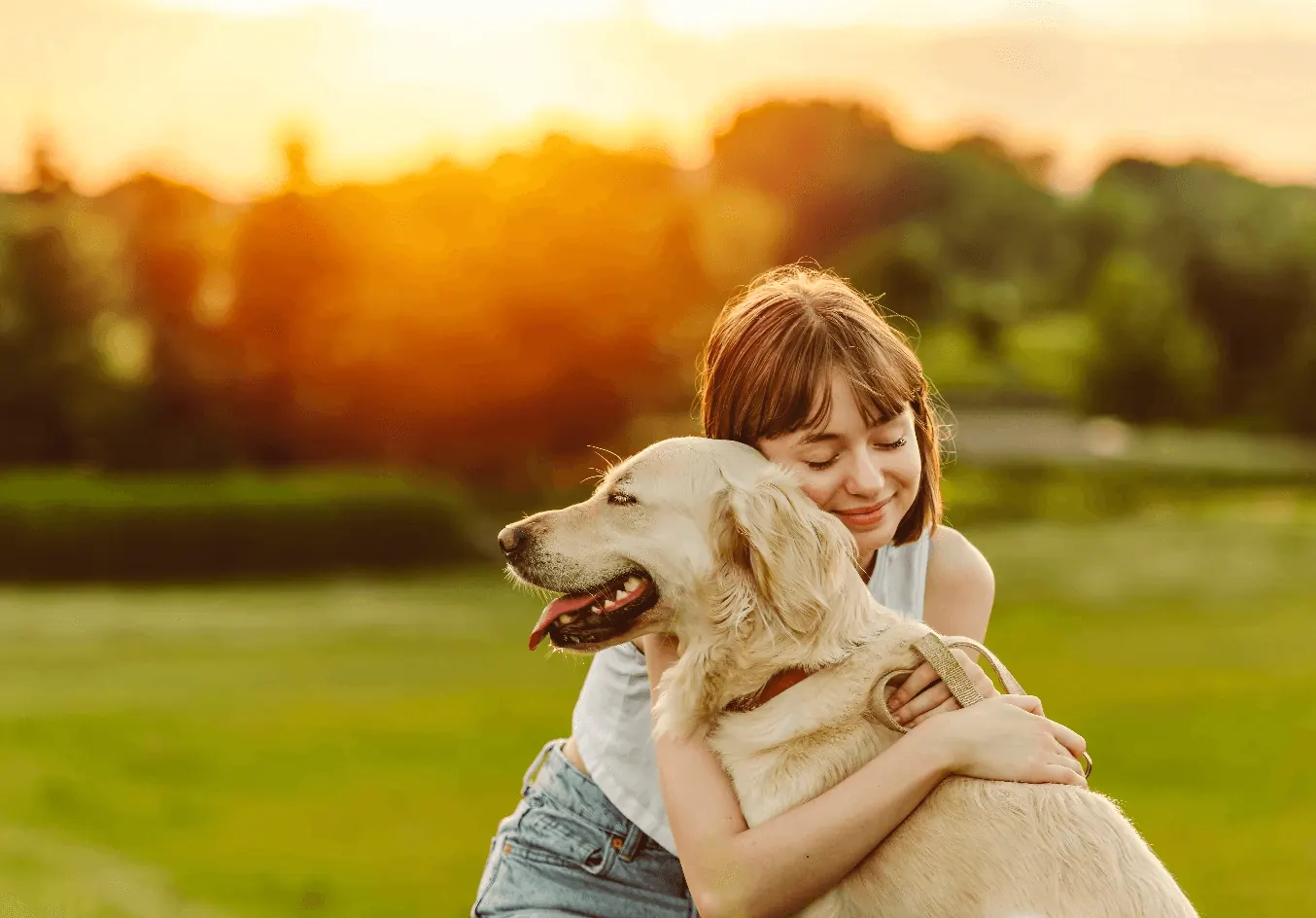 Dziewczyna przytula golden retrievera w zachodzącym słońcu