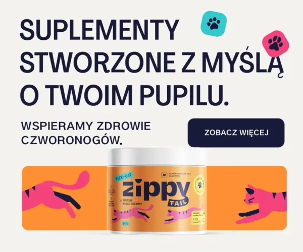 Baner Zippy Tail 300×250 px z hasłem „Suplementy stworzone z myślą o twoim pupilu”