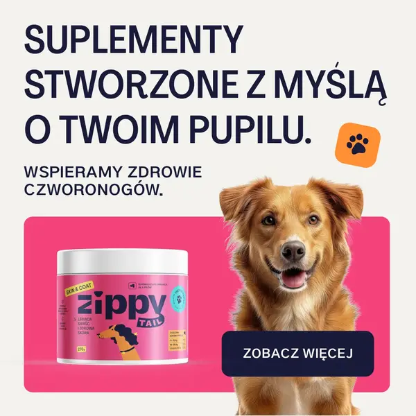 Baner Zippy Tail 300×300 px z hasłem „Suplementy stworzone z myślą o twoim pupilu”