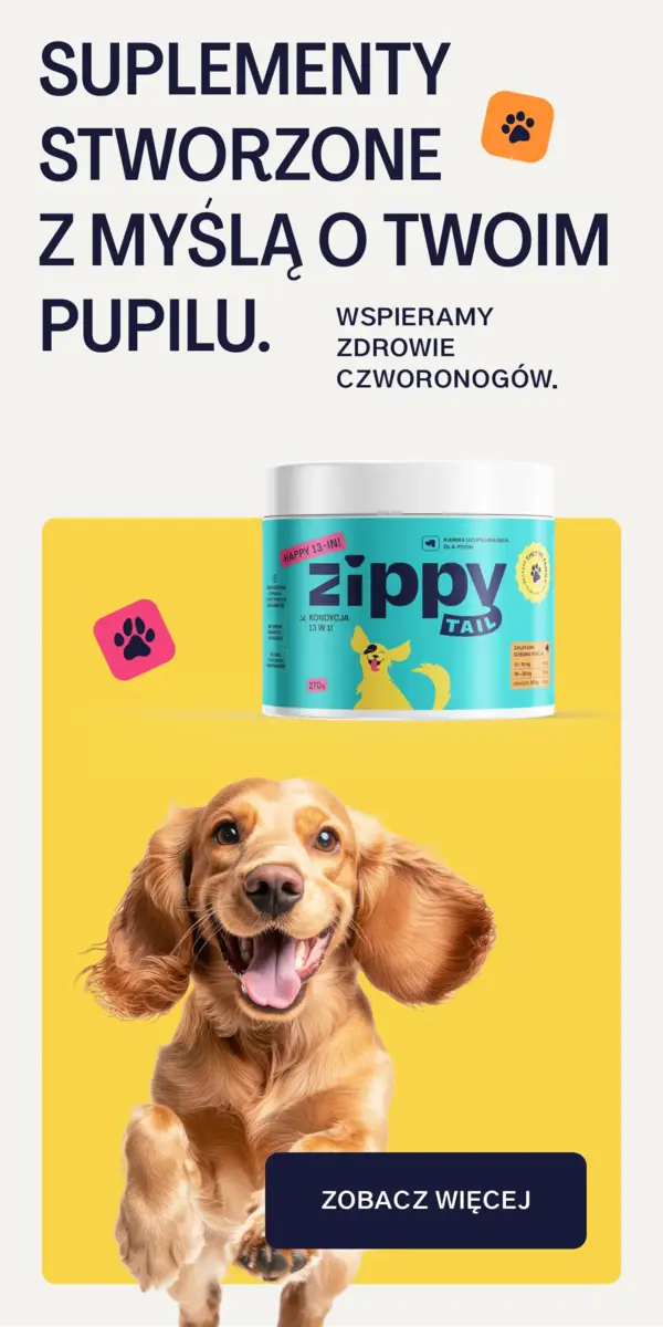 Baner Zippy Tail 300×600 px z hasłem „Suplementy stworzone z myślą o twoim pupilu”